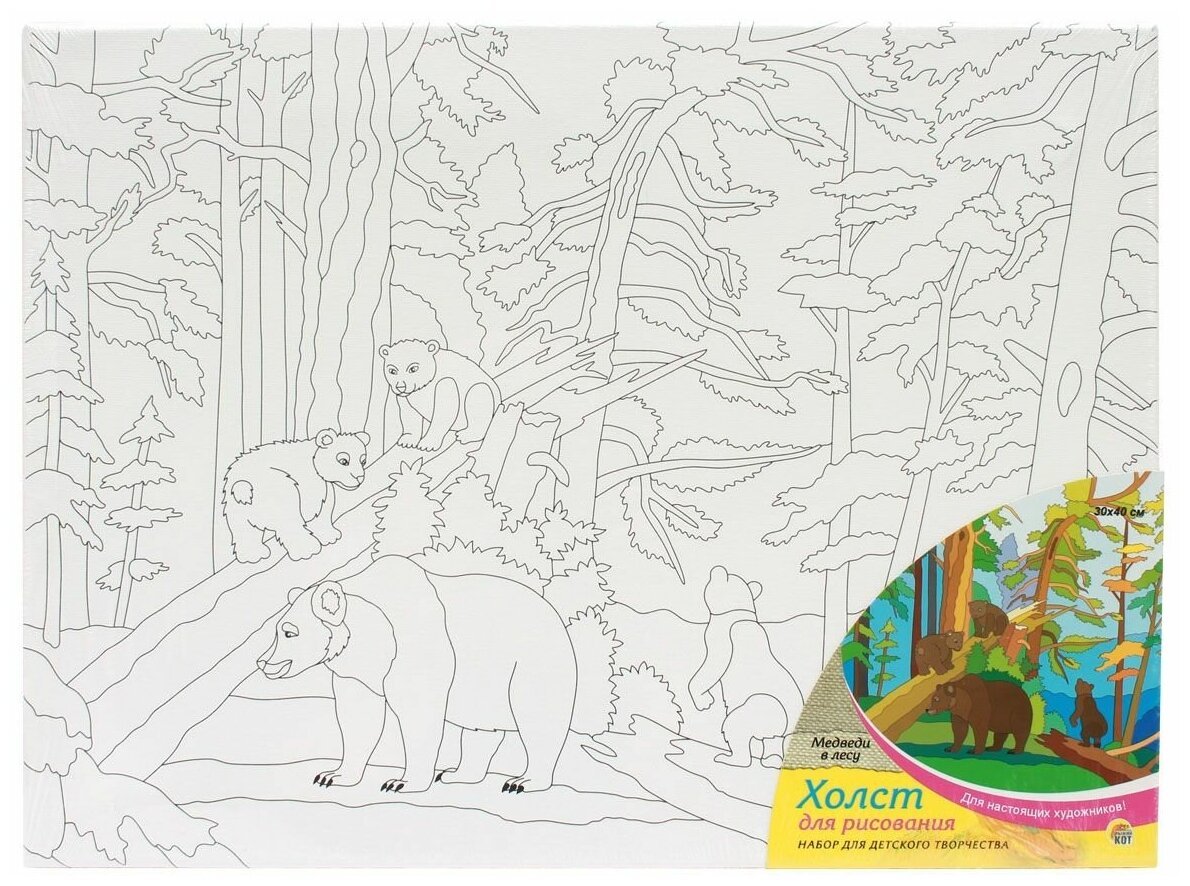 Холст медведи в лесу для рисования