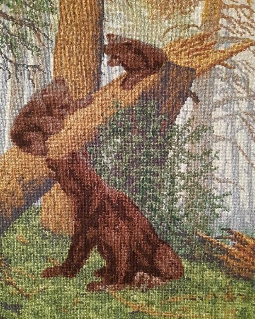 Ёжик с зайчиком раскраска для детей