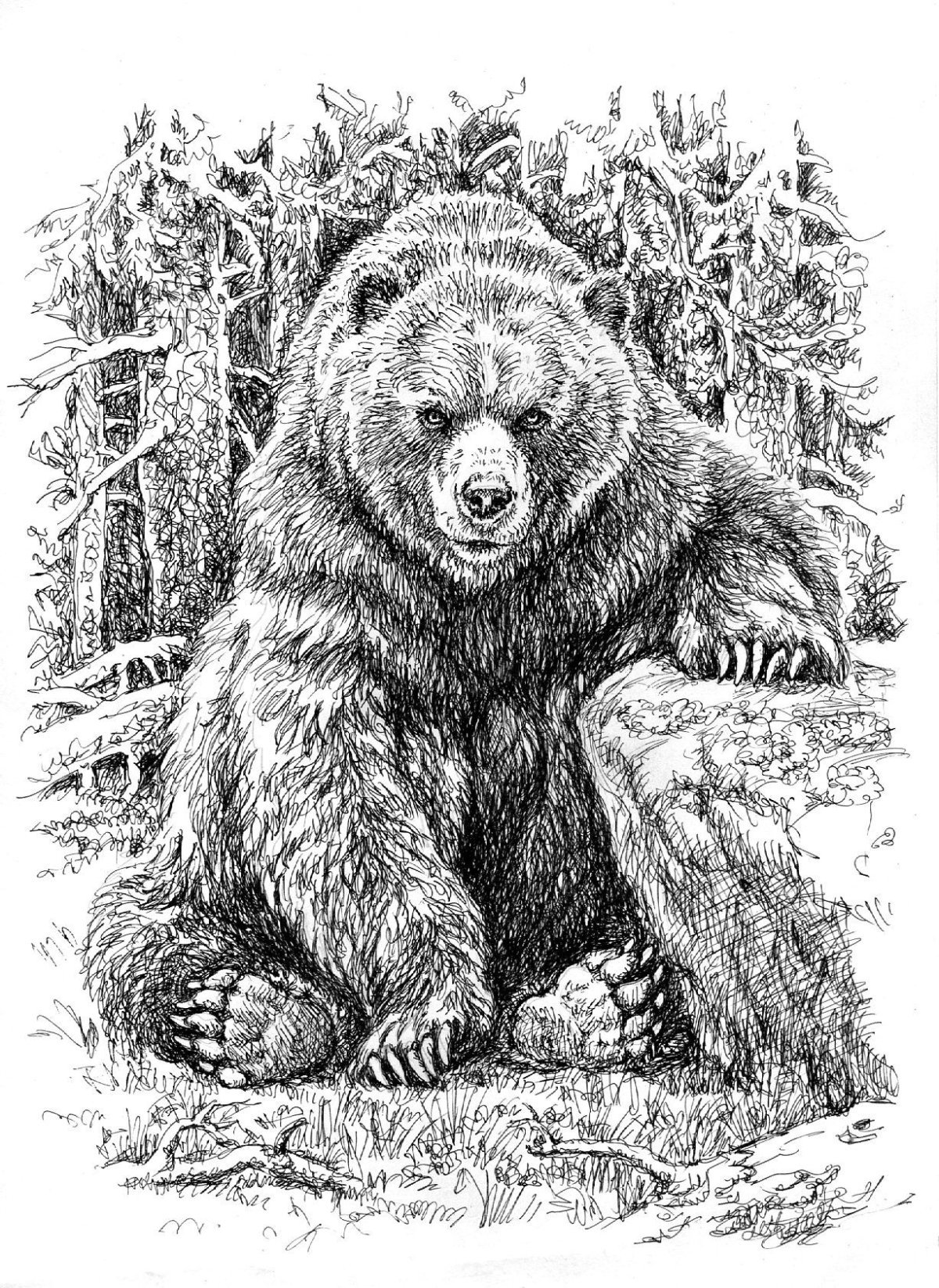 Раскраска медвежата в лесу для детей
