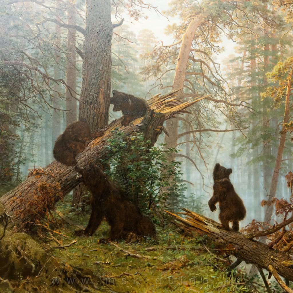 Утро в Сосновом Бору