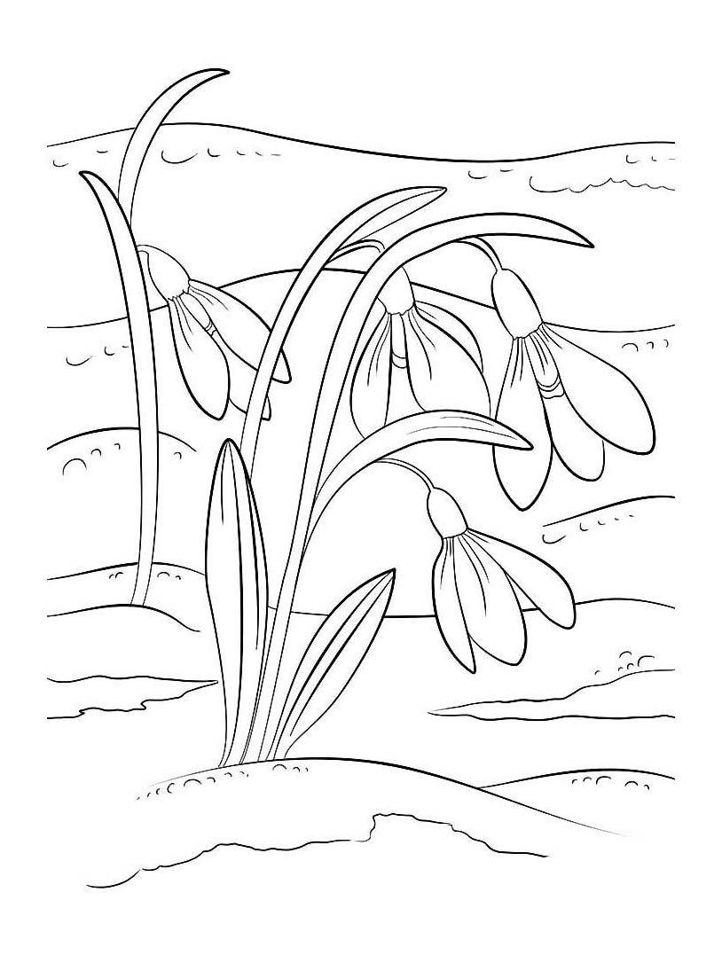 Весенний пейзаж раскраска