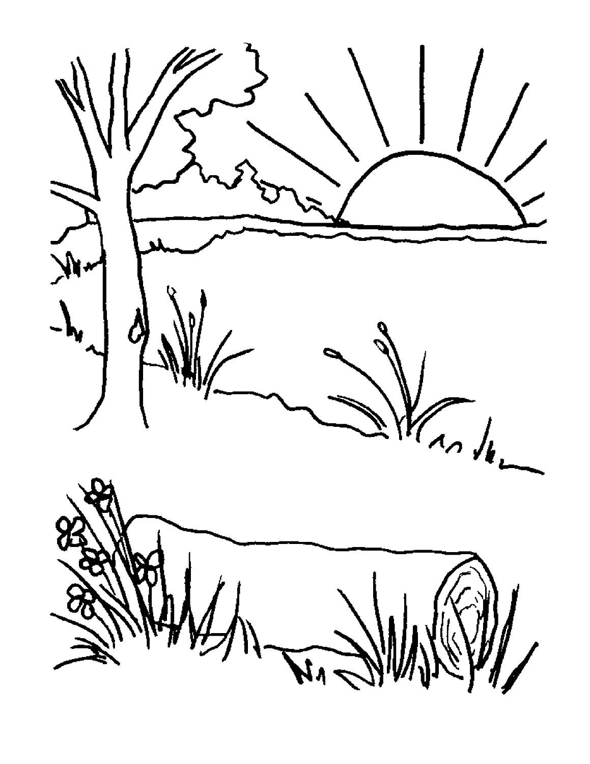 Весенние раскраски