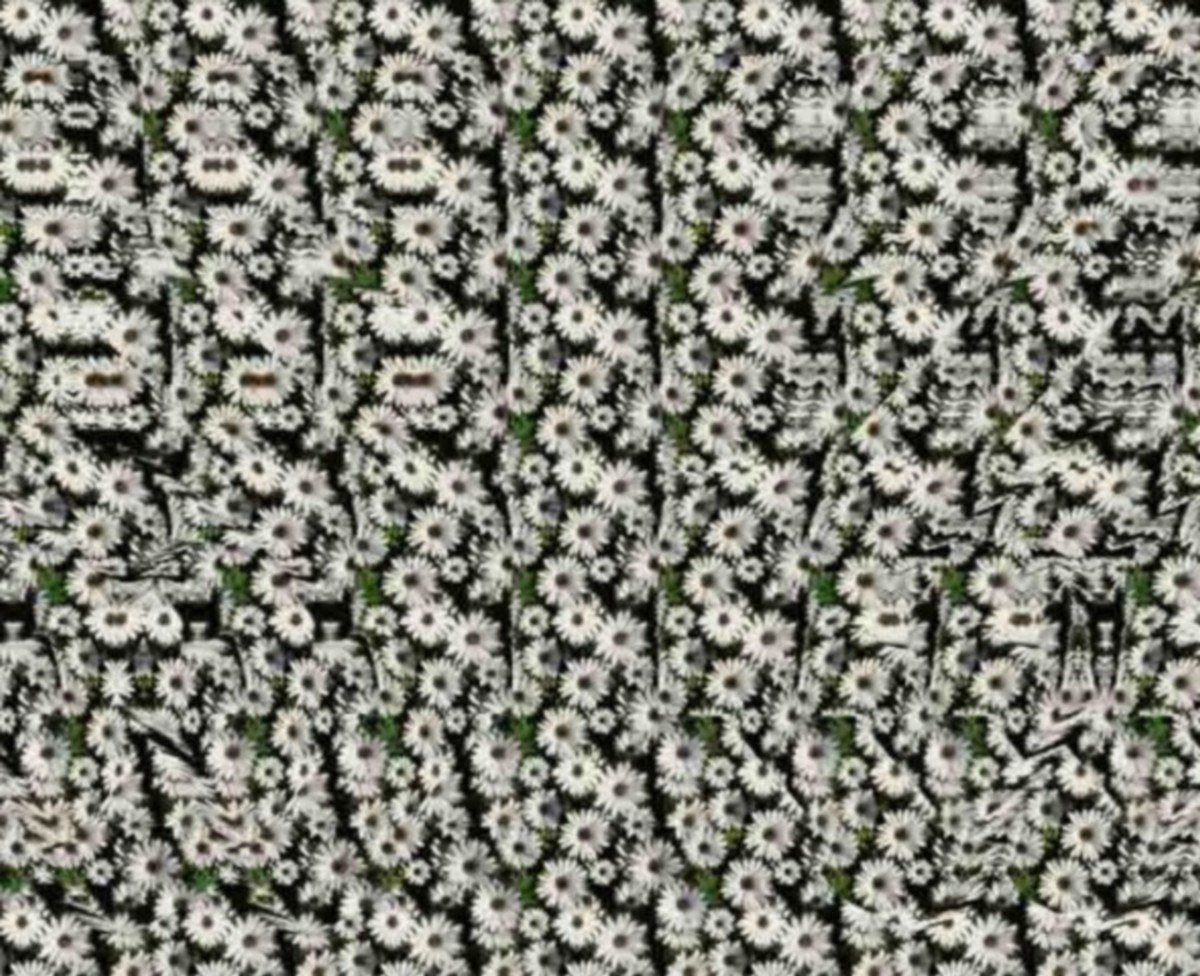 Стереокартинки черно белые