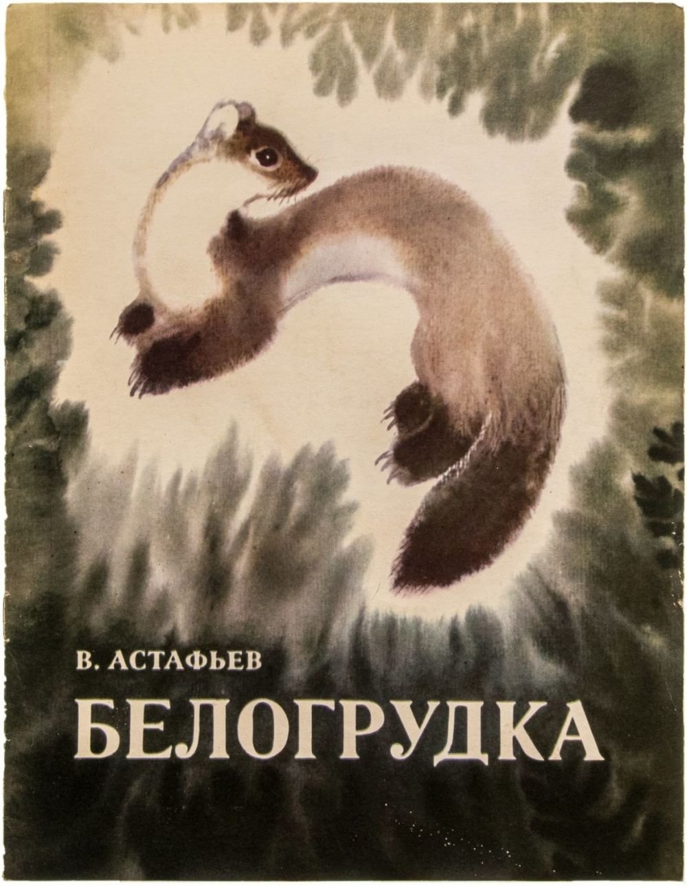 Куница карандашом