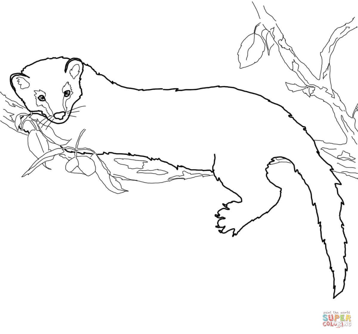 Астафьев Виктор "Белогрудка"