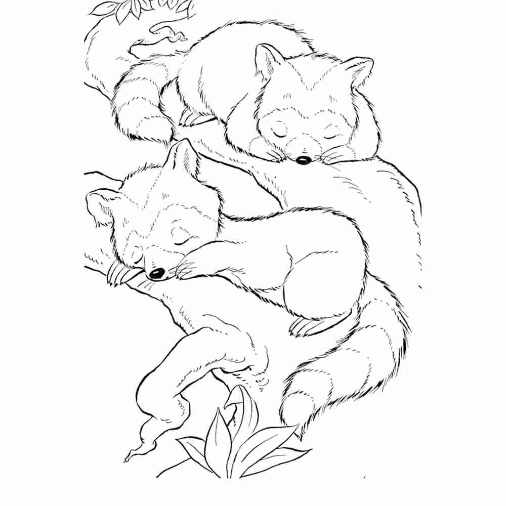 Раскраска на сказку Лисичка сестричка и волк