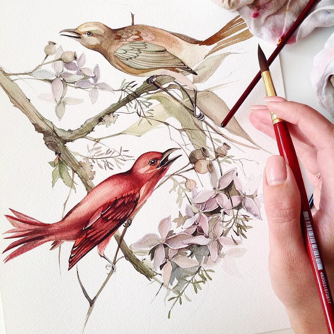 Акварель Katya_mihailina птицы