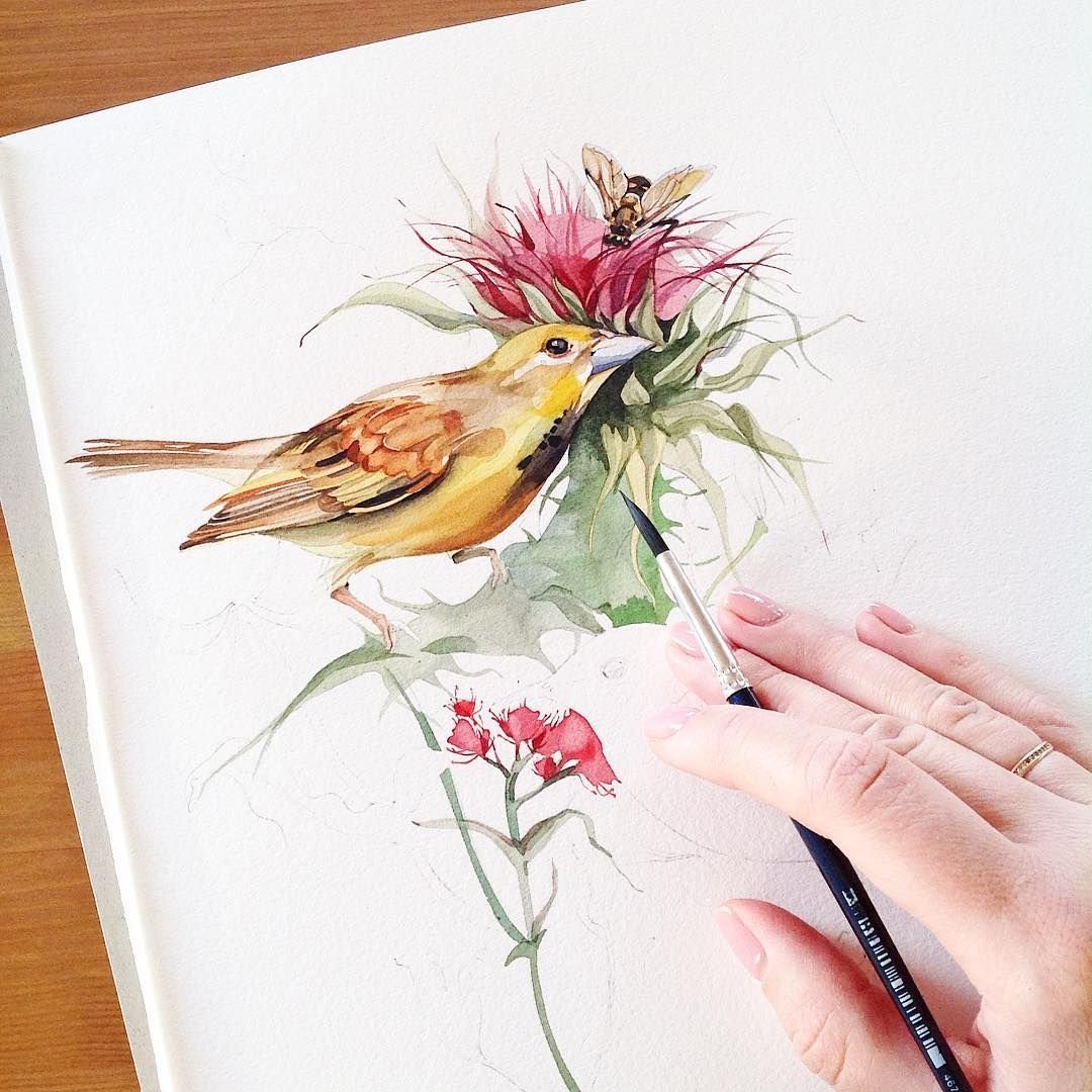 Акварель Katya_mihailina птицы