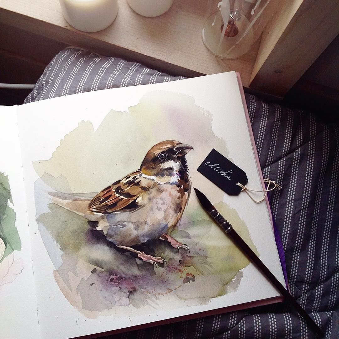 Рисунки акварелью Инстаграмм птица