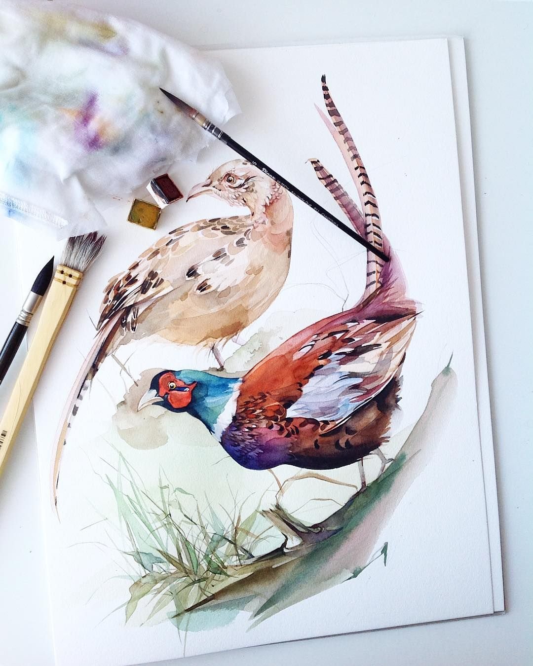 Иллюстратор Natalia Makarenko