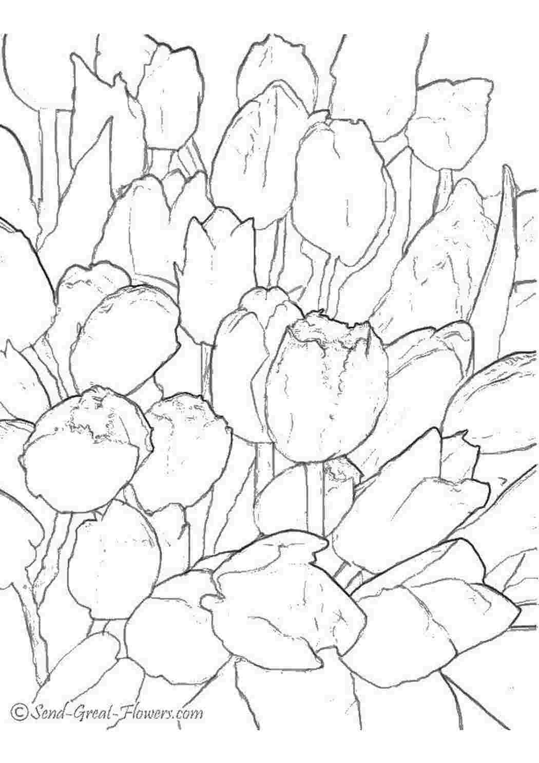 Раскраска тюльпаны в вазе
