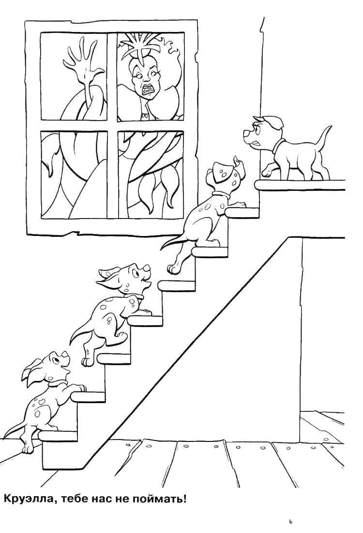 Носов ступеньки раскраска