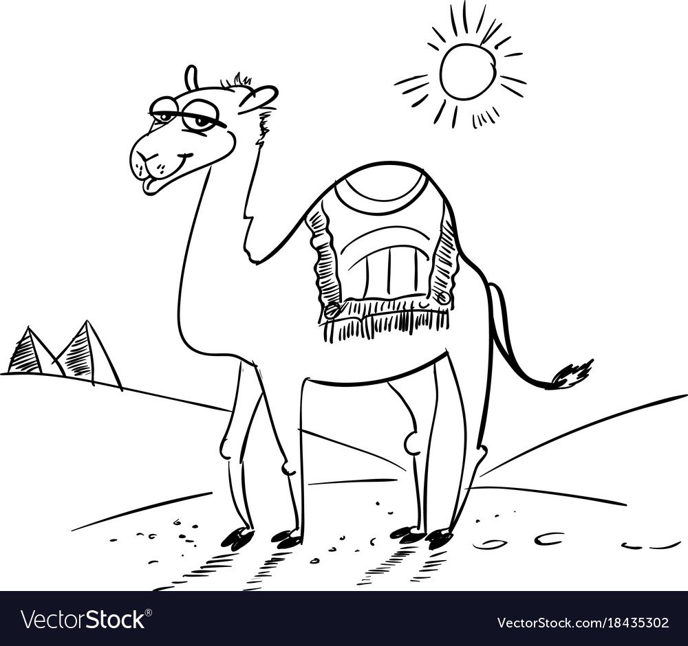 Животные пустыни раскраска