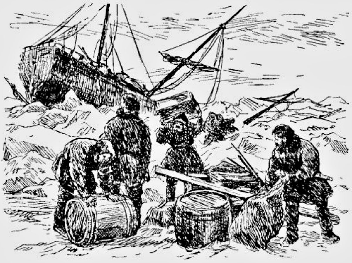 Северный полюс для детей