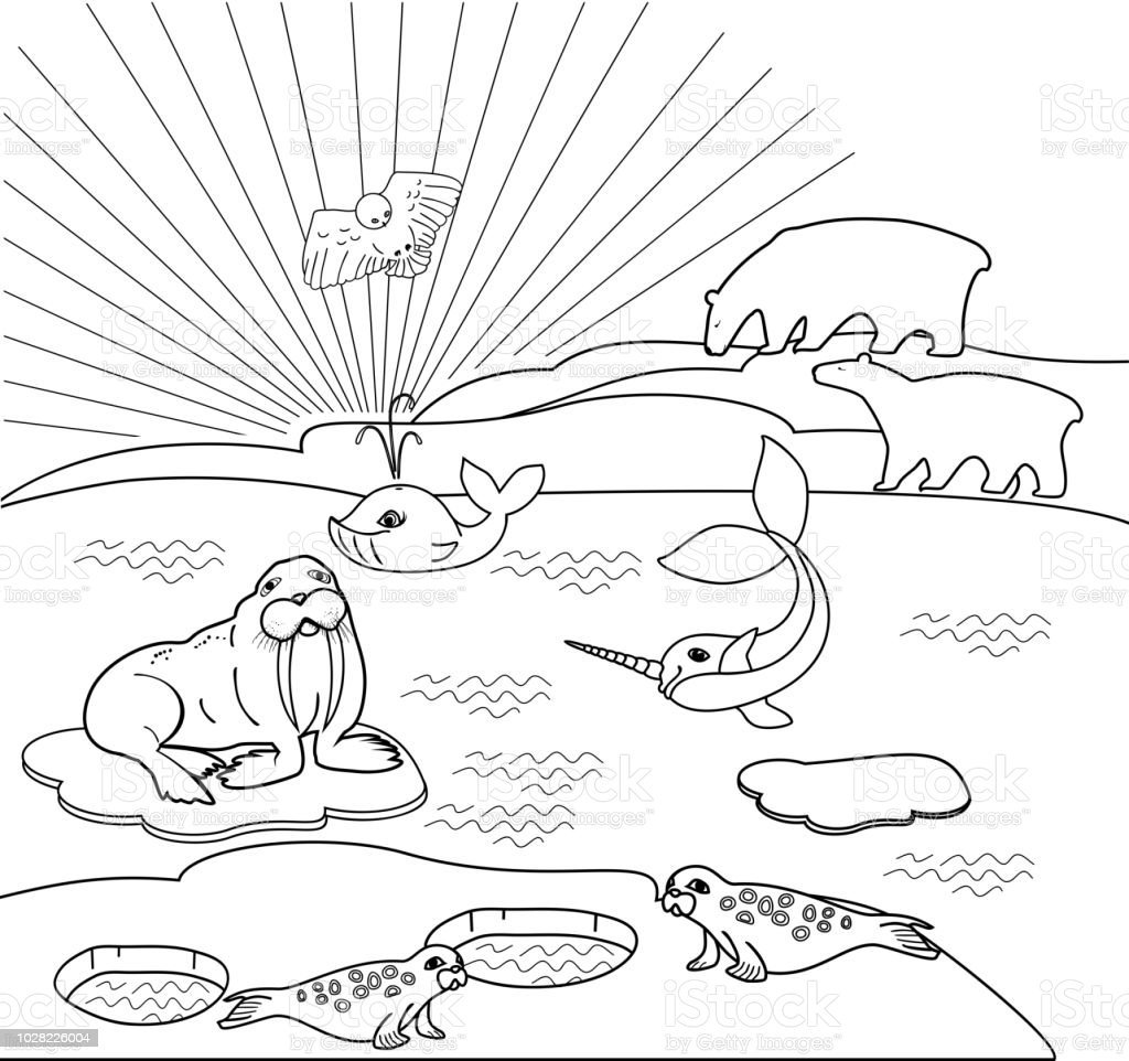 Северное сияние раскраска для детей