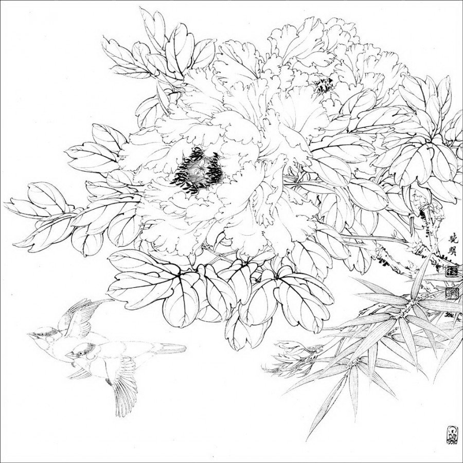 Китайские пионы раскраска