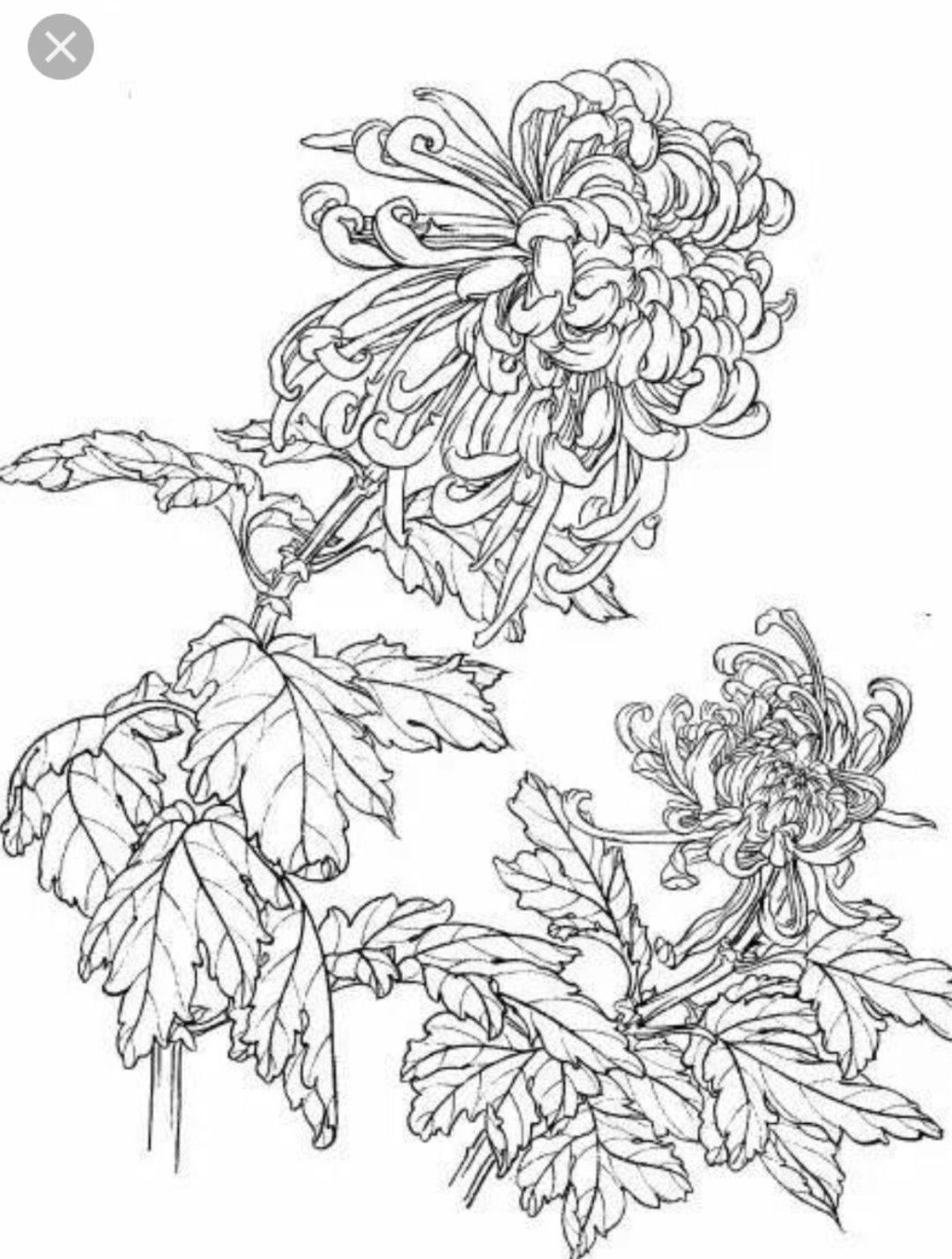 Китайская живопись раскраски