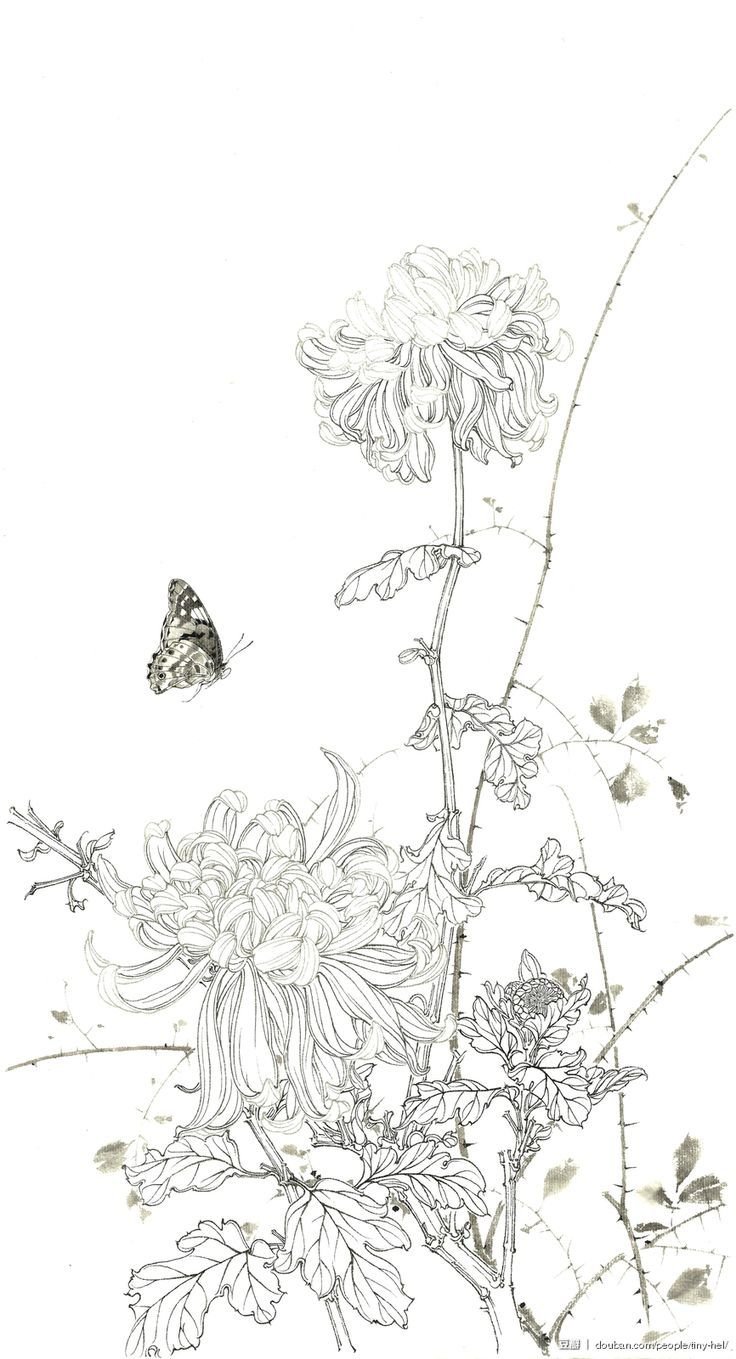 Контуры для китайской живописи