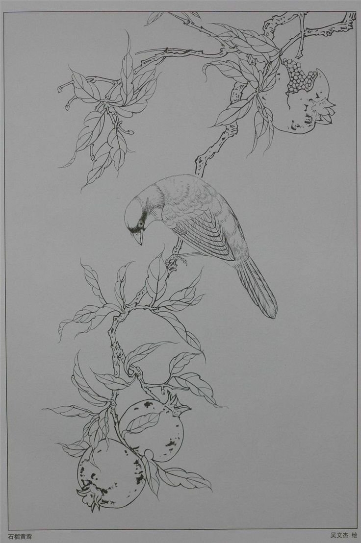 Гунби контуры