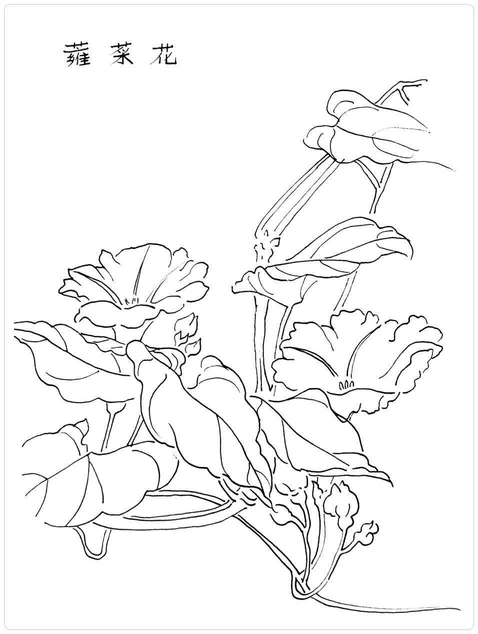 Стиль гунби китайская живопись Вьюнок