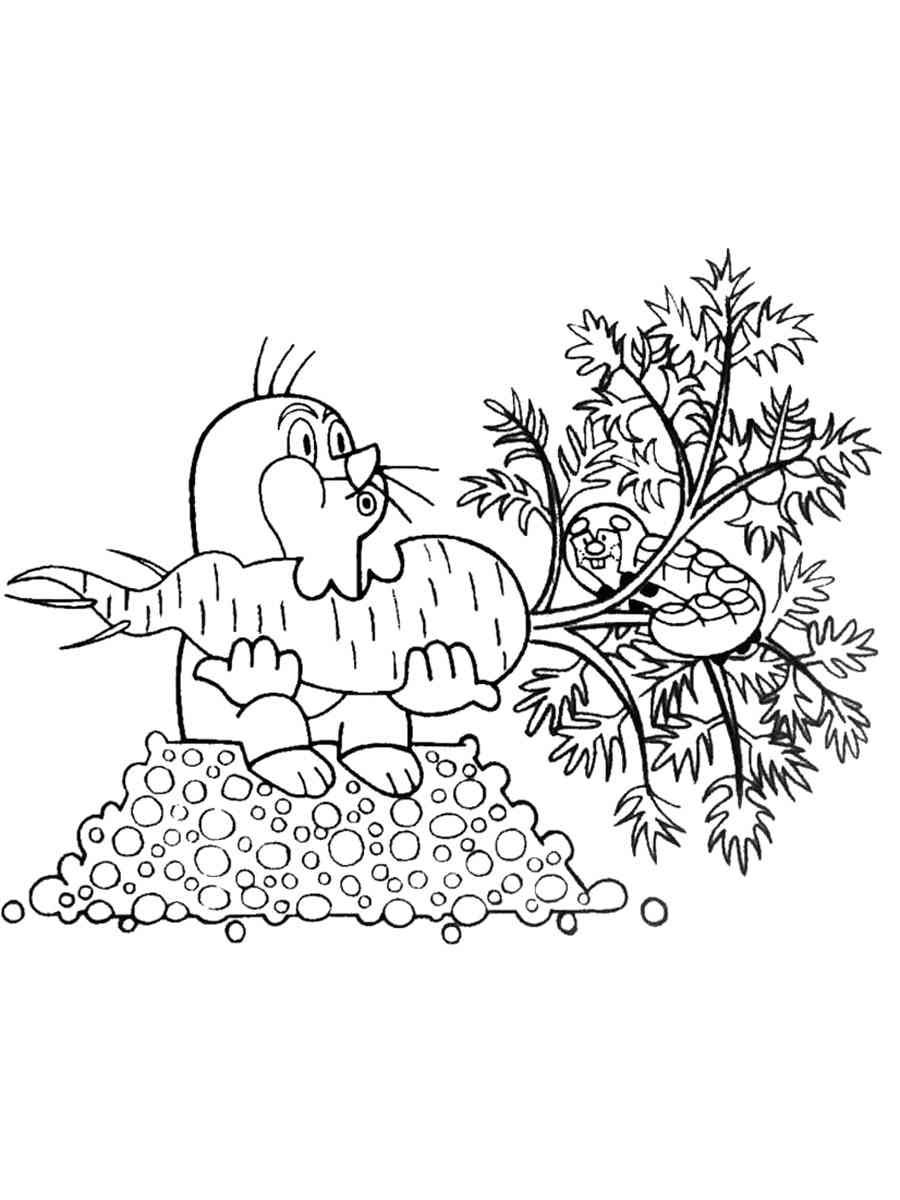 Раскраска про Кротика