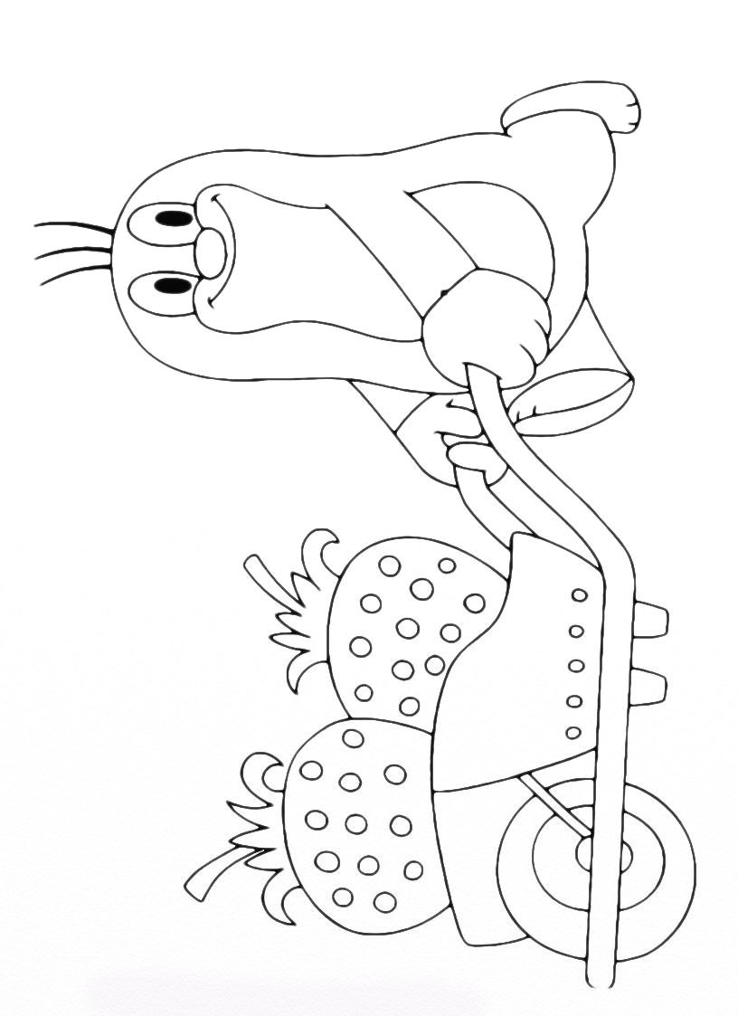 Крот рисунок