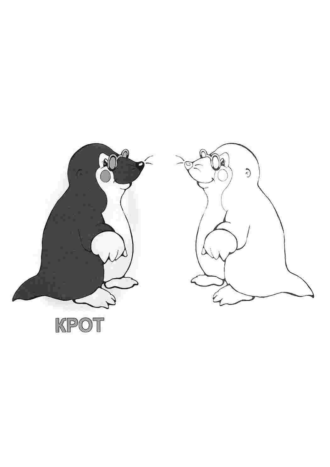 Крот картинка для детей раскраска