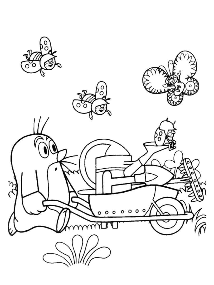 Раскраска животные Крот