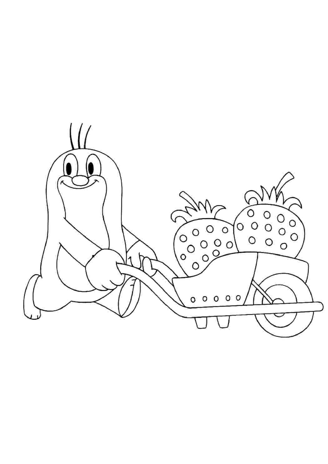 Раскраска сумчатый Крот