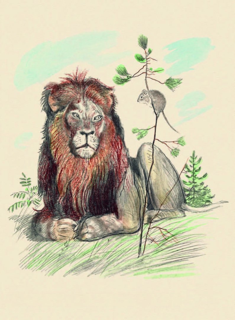 Медведь рисунок карандашом