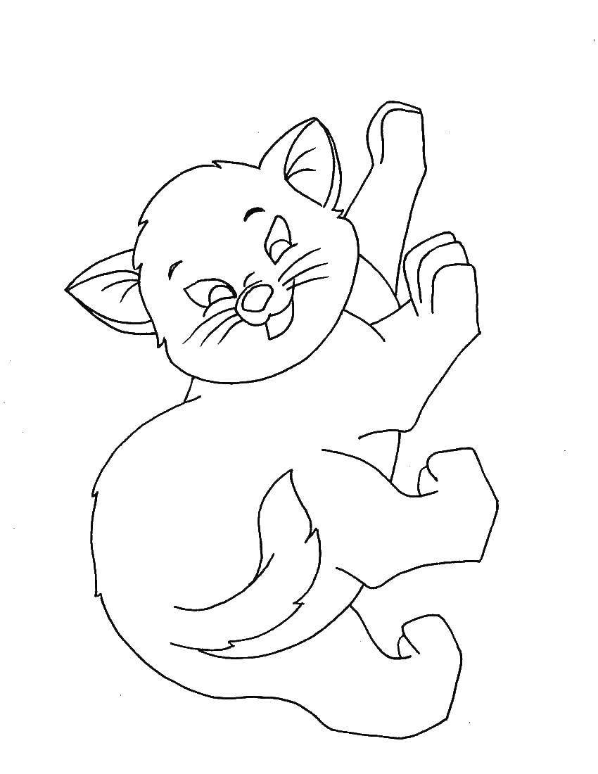 Раскраска котик с клубочком