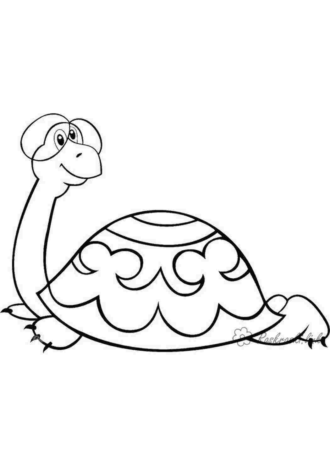 Львенок и черепаха раскраска
