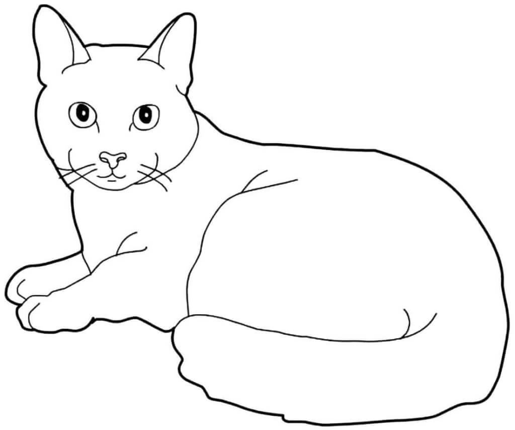 Кошка лежит раскраска