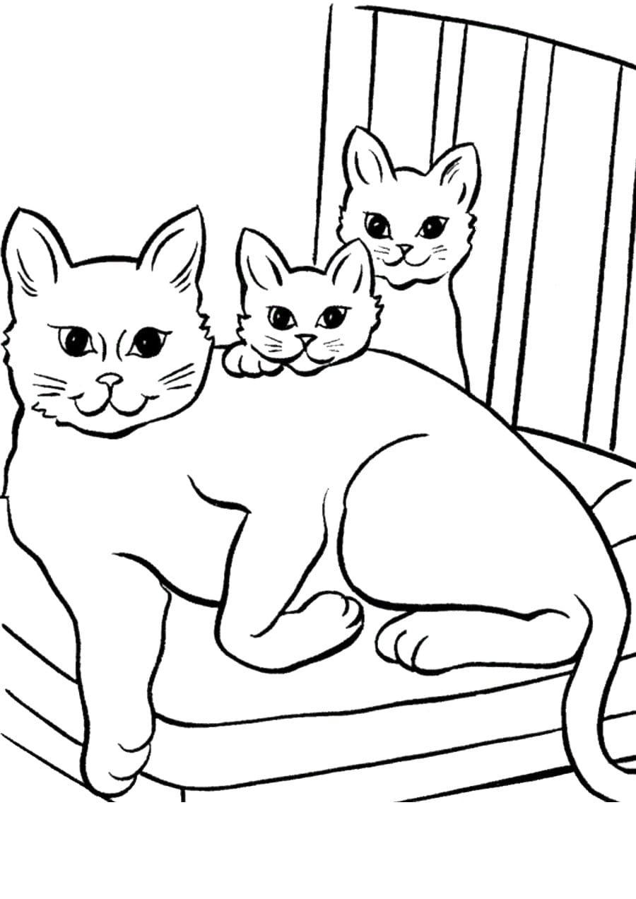 Котенок. Раскраска