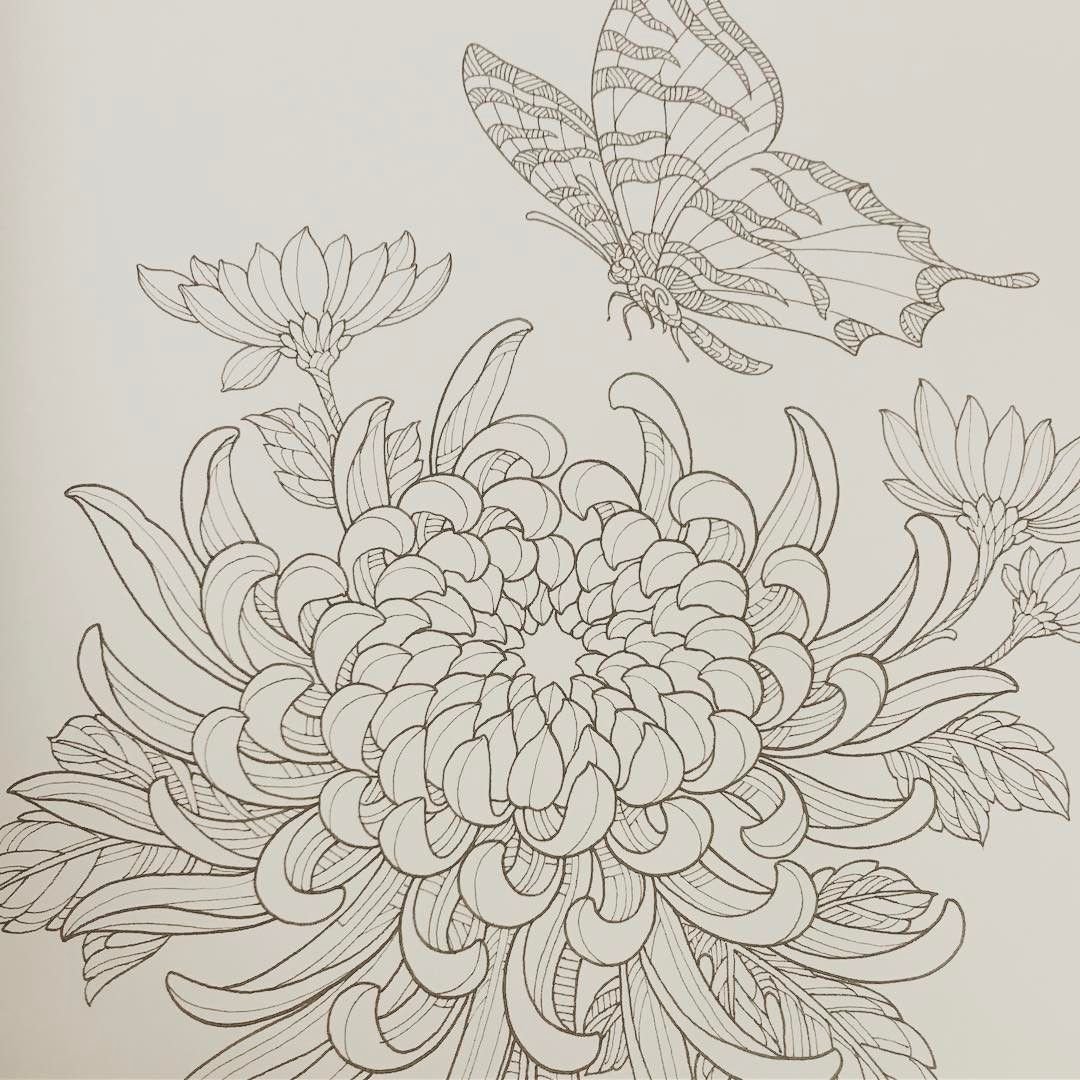 Какаду как нарисовать хризантемы лкхко