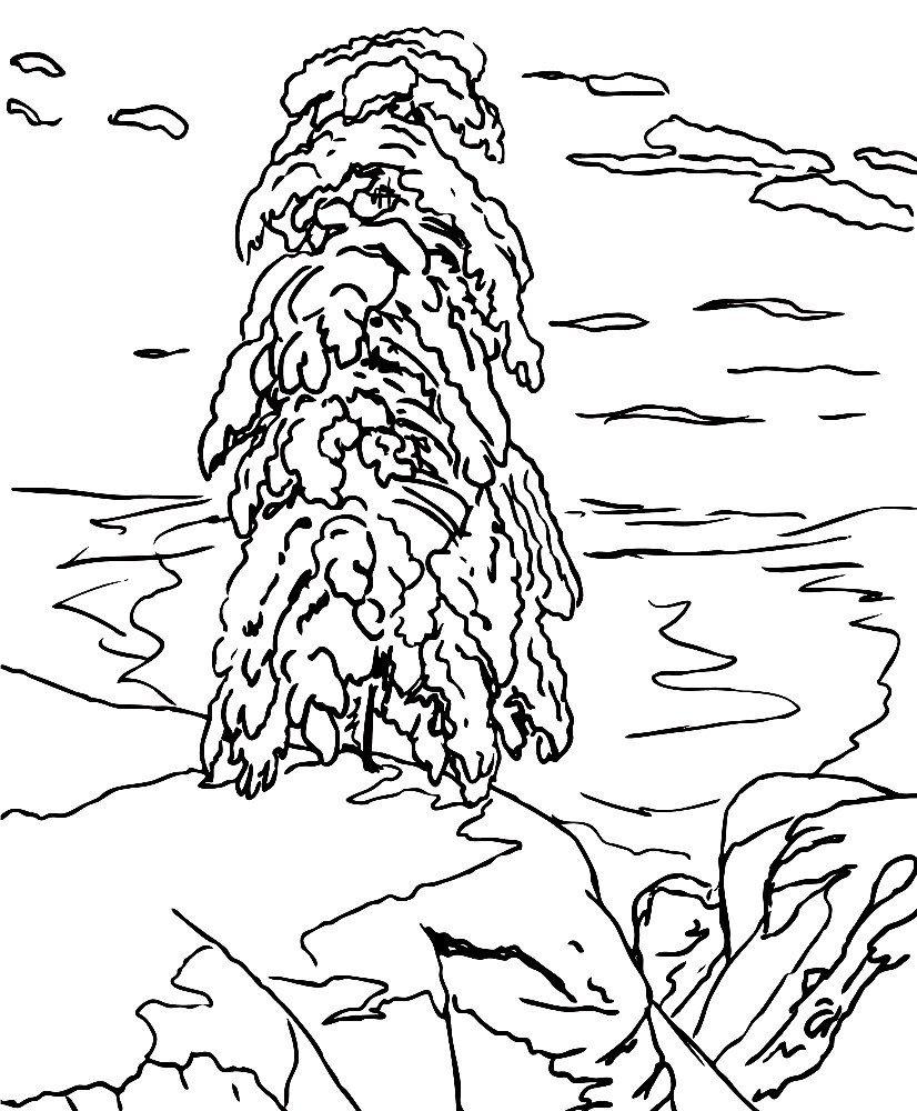 Разукрашки картины