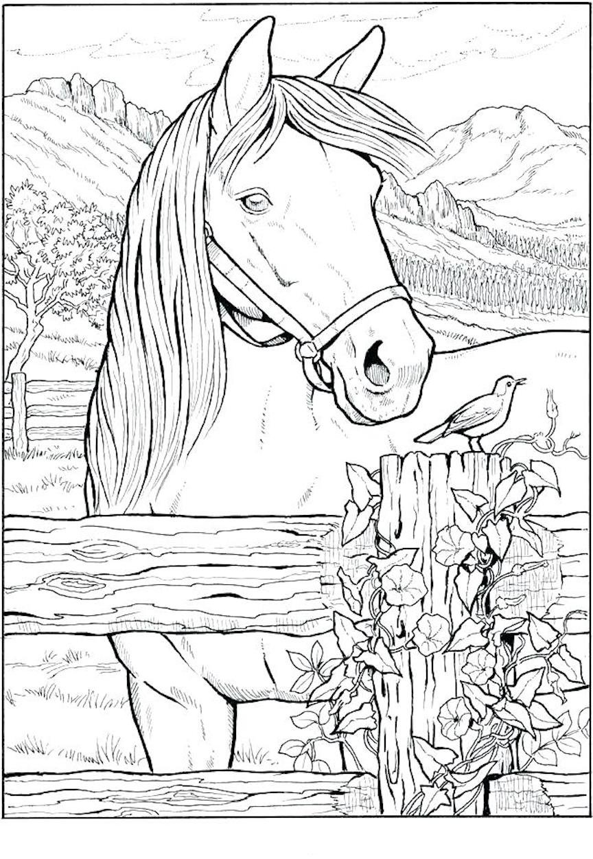 Сельский пейзаж раскраска