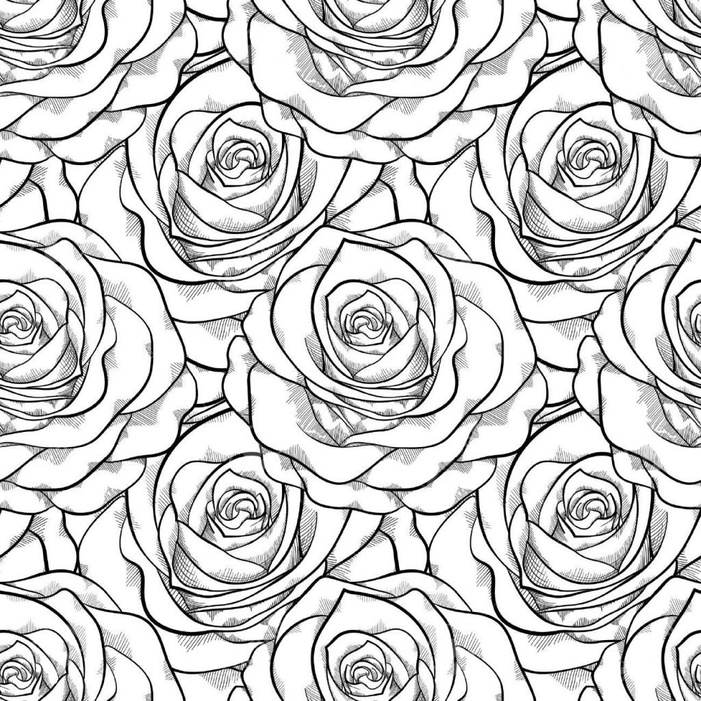 Раскраска антистресс розы