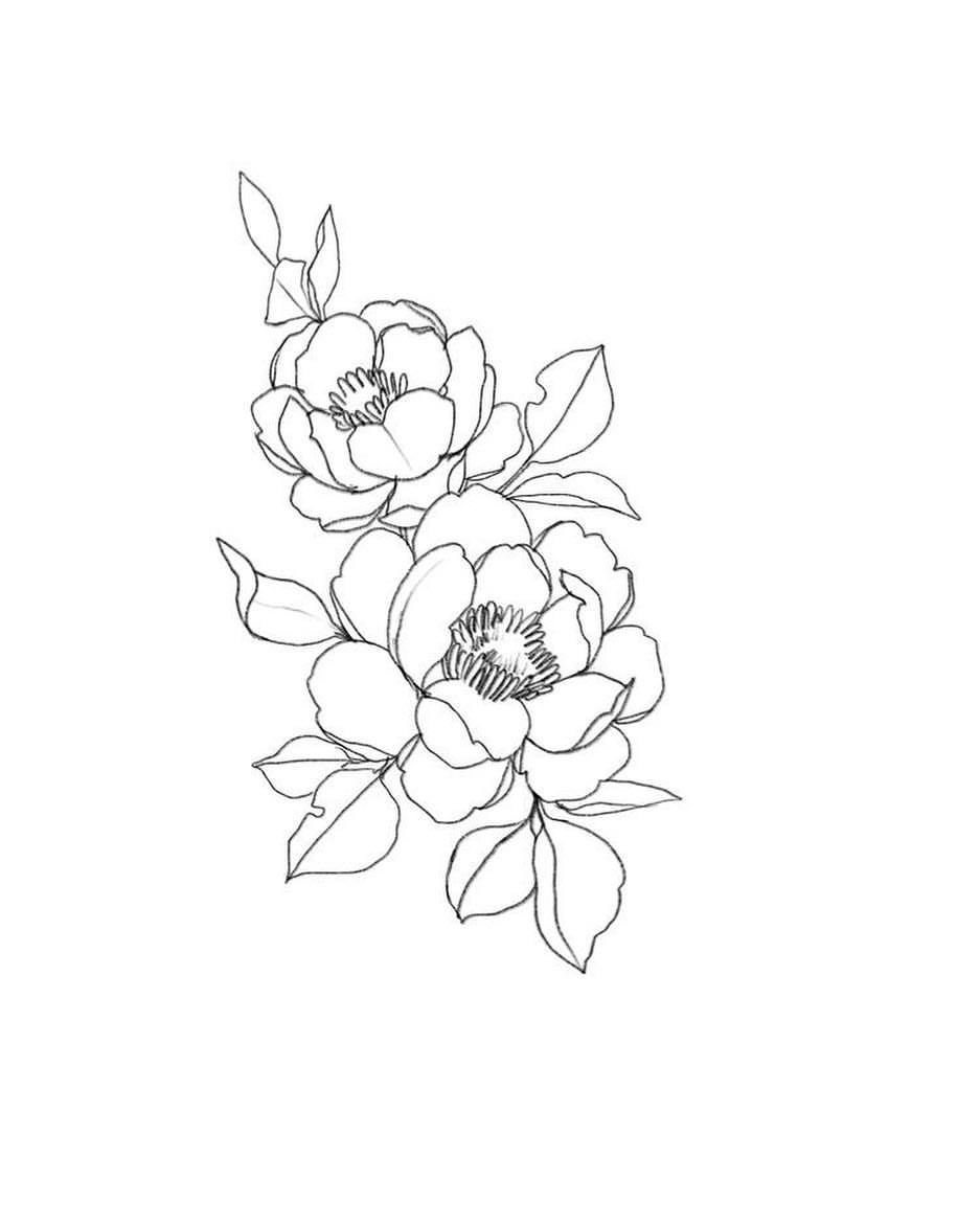 Эскизы рисунков цветов