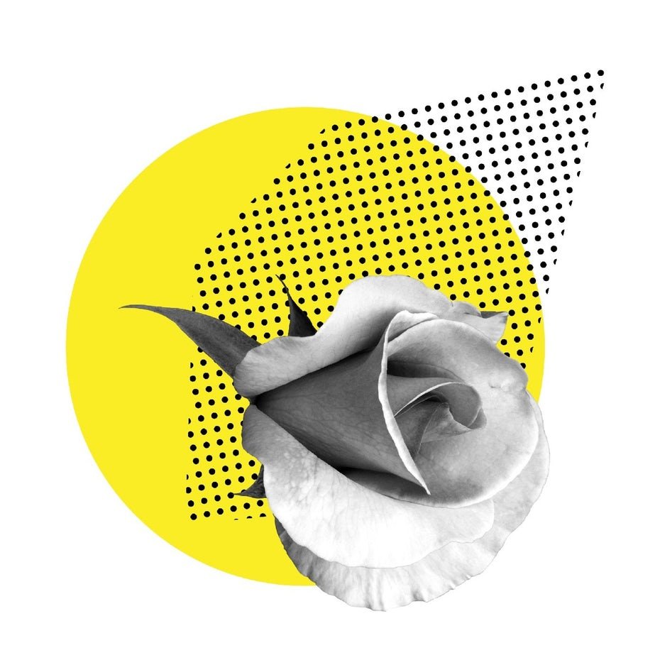 Растровое изображение в дизайне