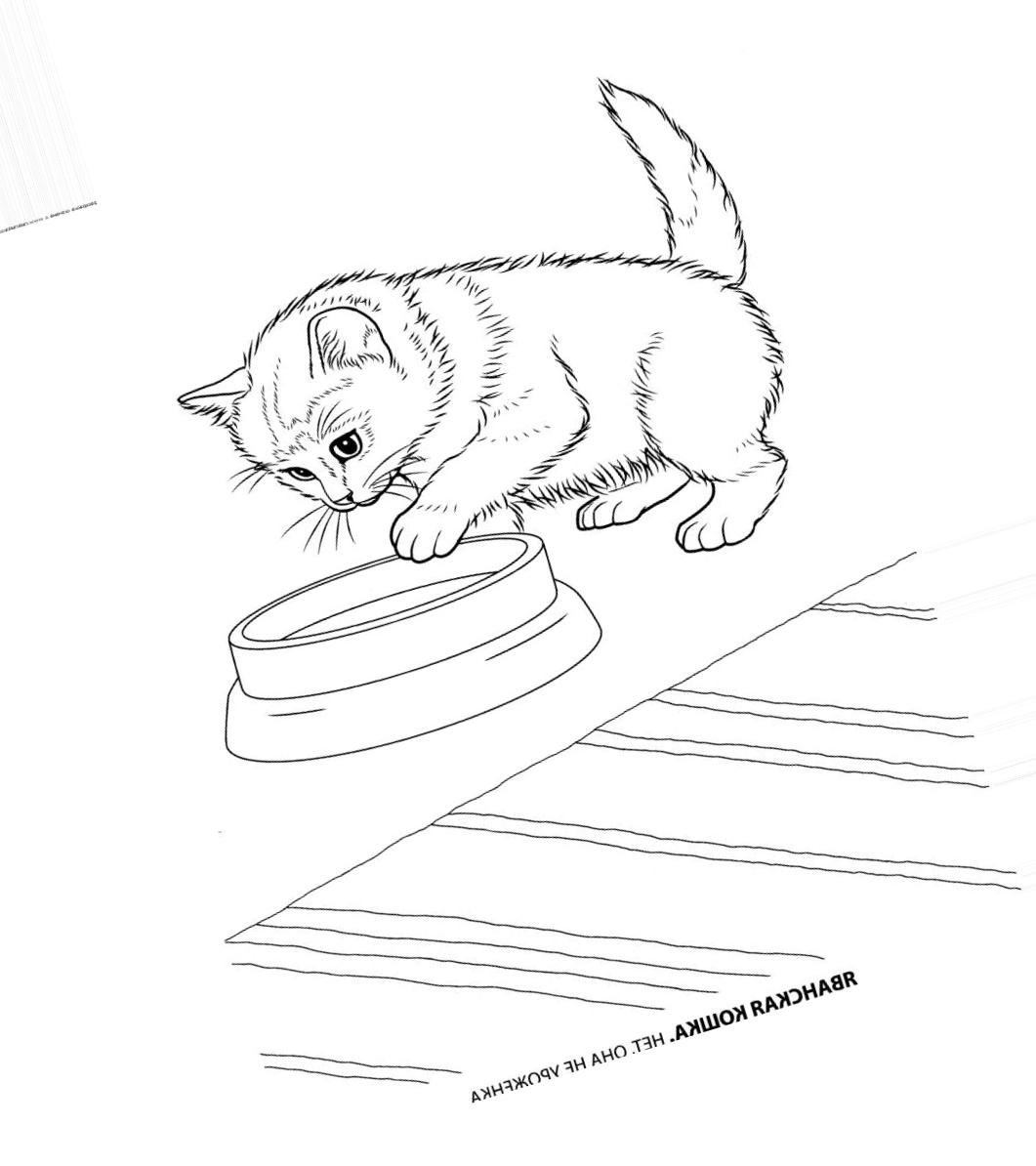 План по рассказу котенок