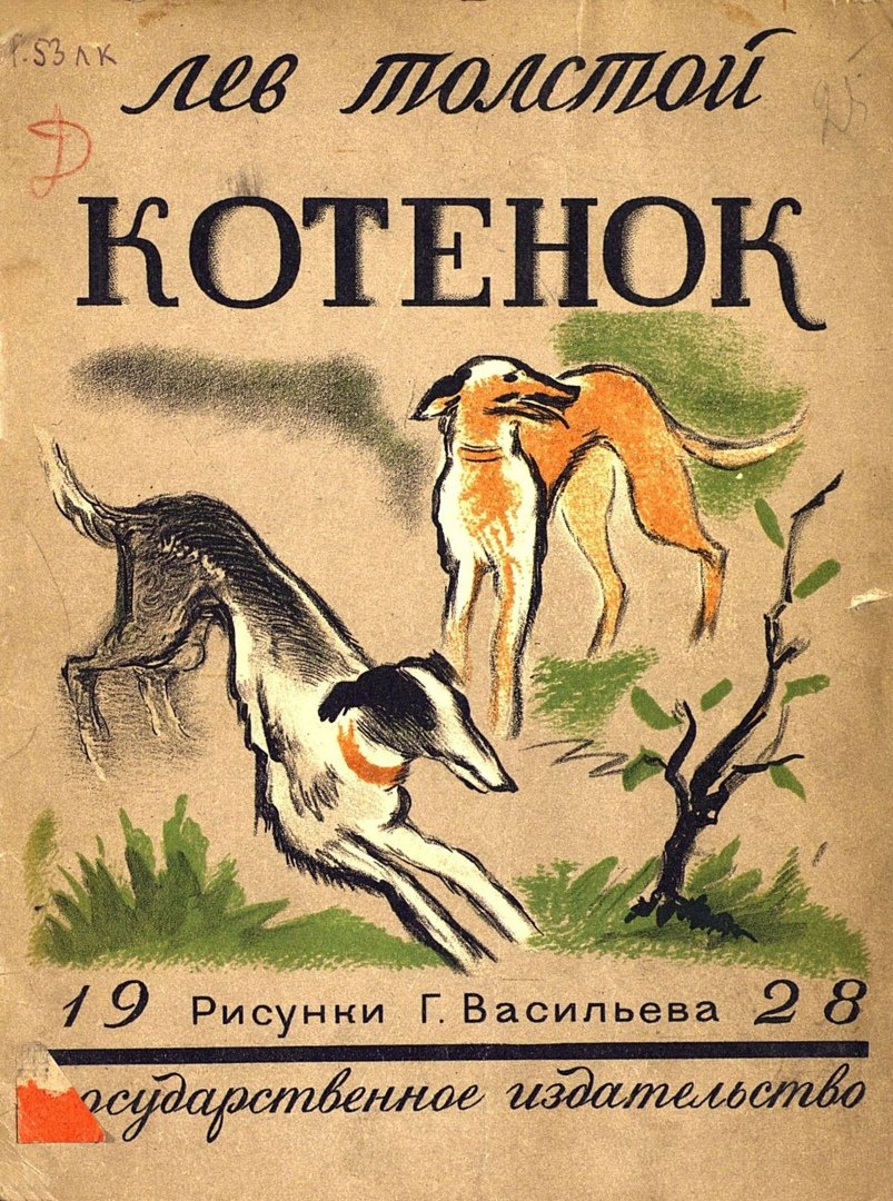 Раскраска британский кот