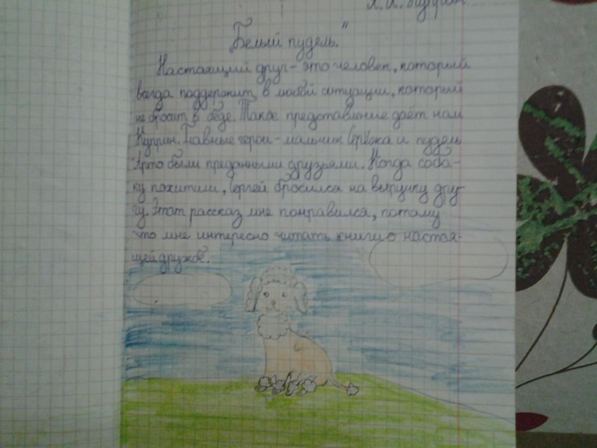 Рисунок на тему сопереживание