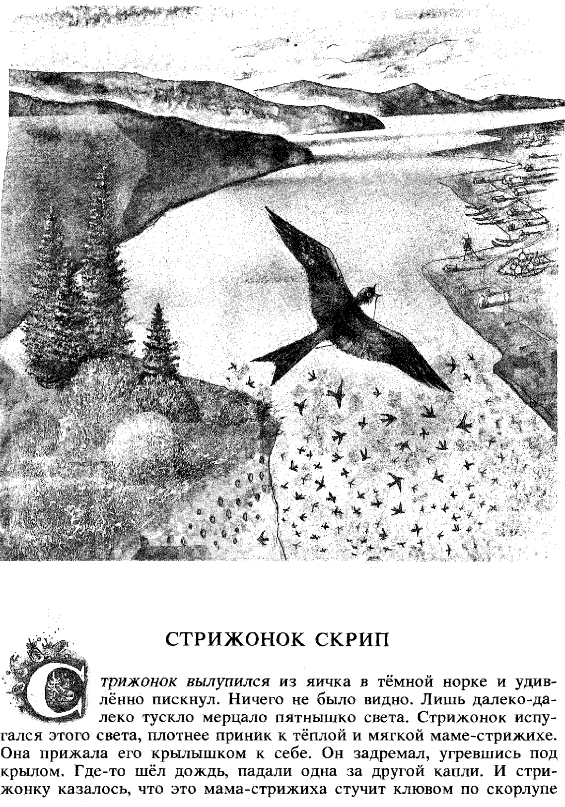 В П Астафьев Стрижонок скрип