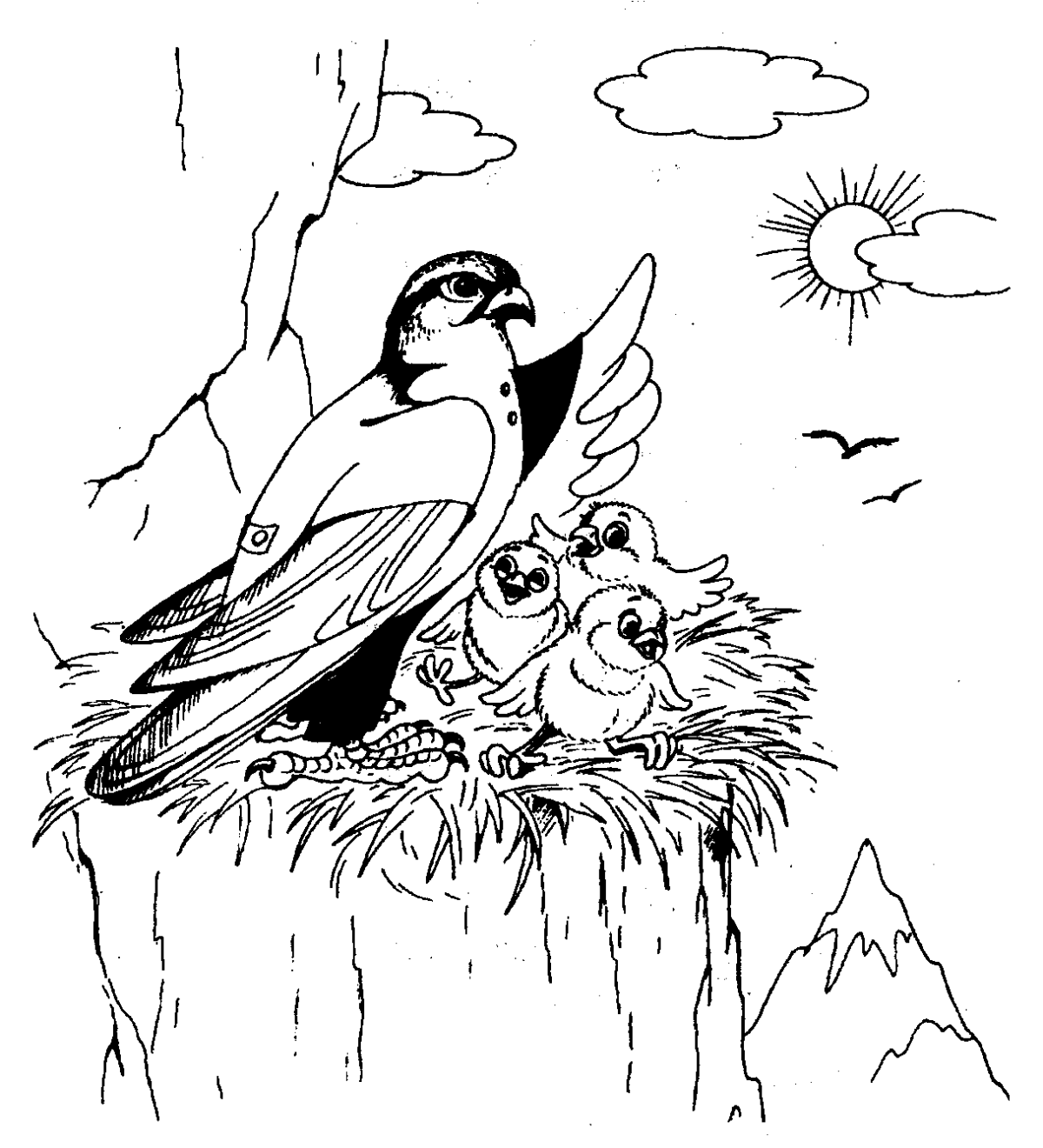 Рисунок Стрижонок Стриж