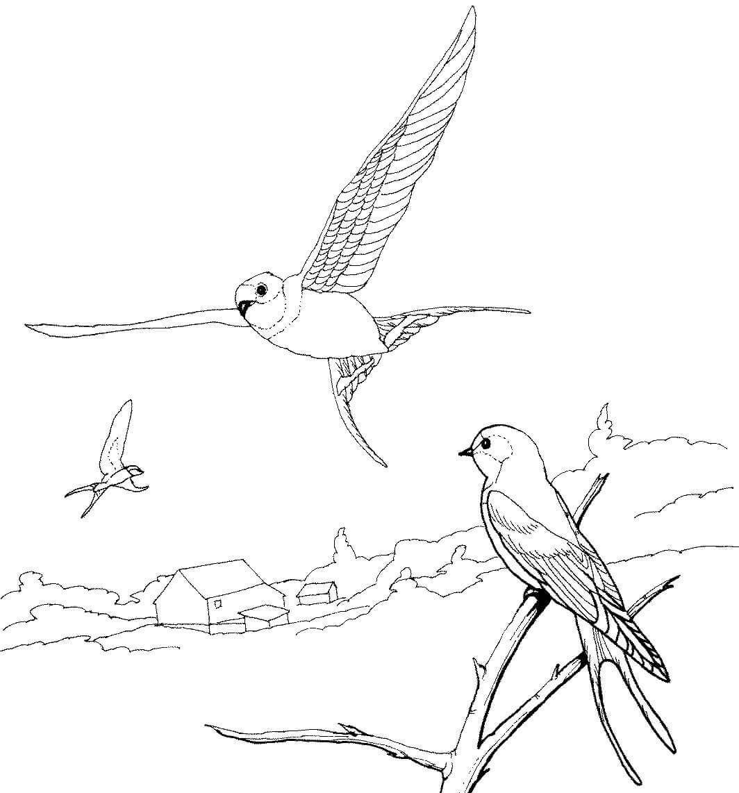 Иллюстрации к произведению стрижонок скрип