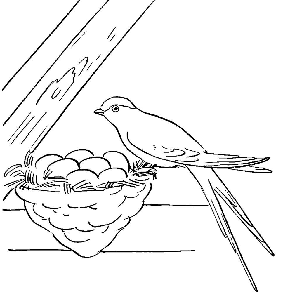 Стрижонок скрип книга