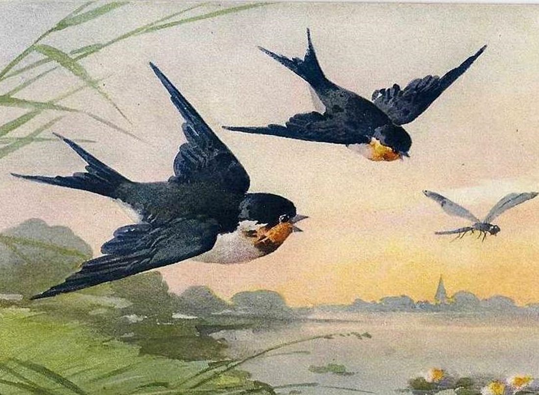 Произведение Стрижонок скрип