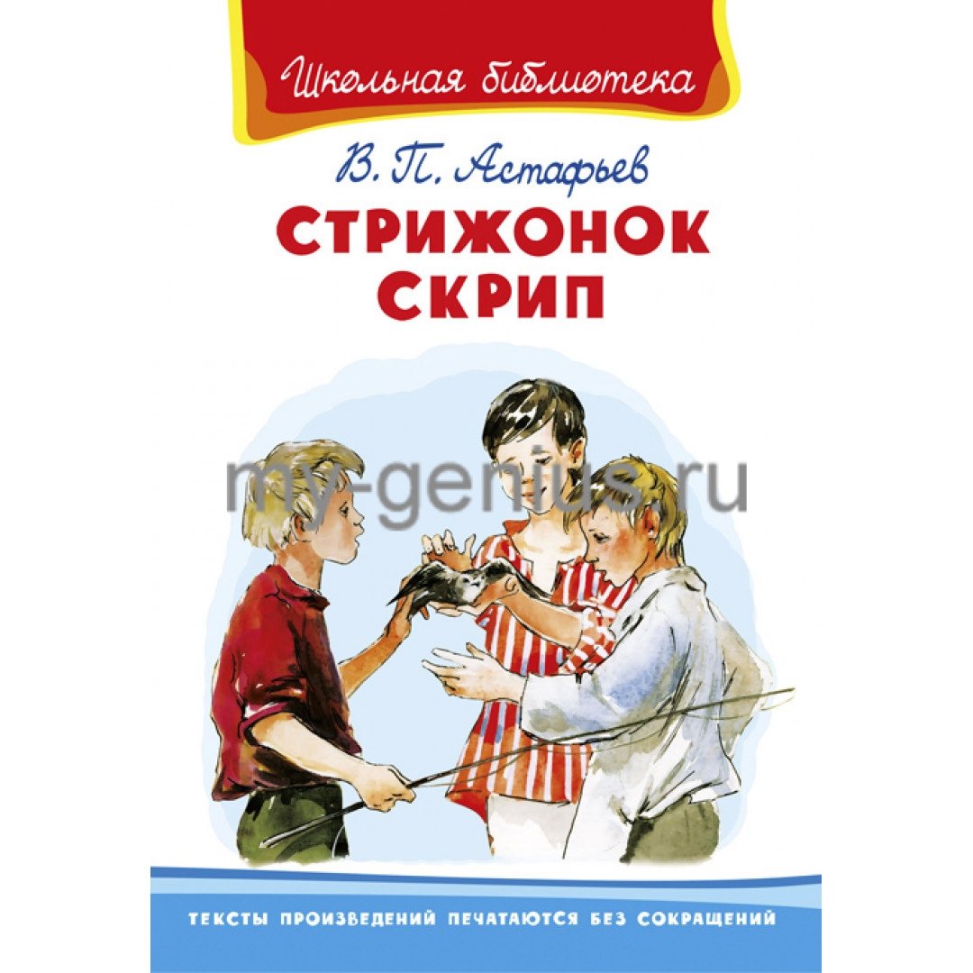 Гнездо ласточки