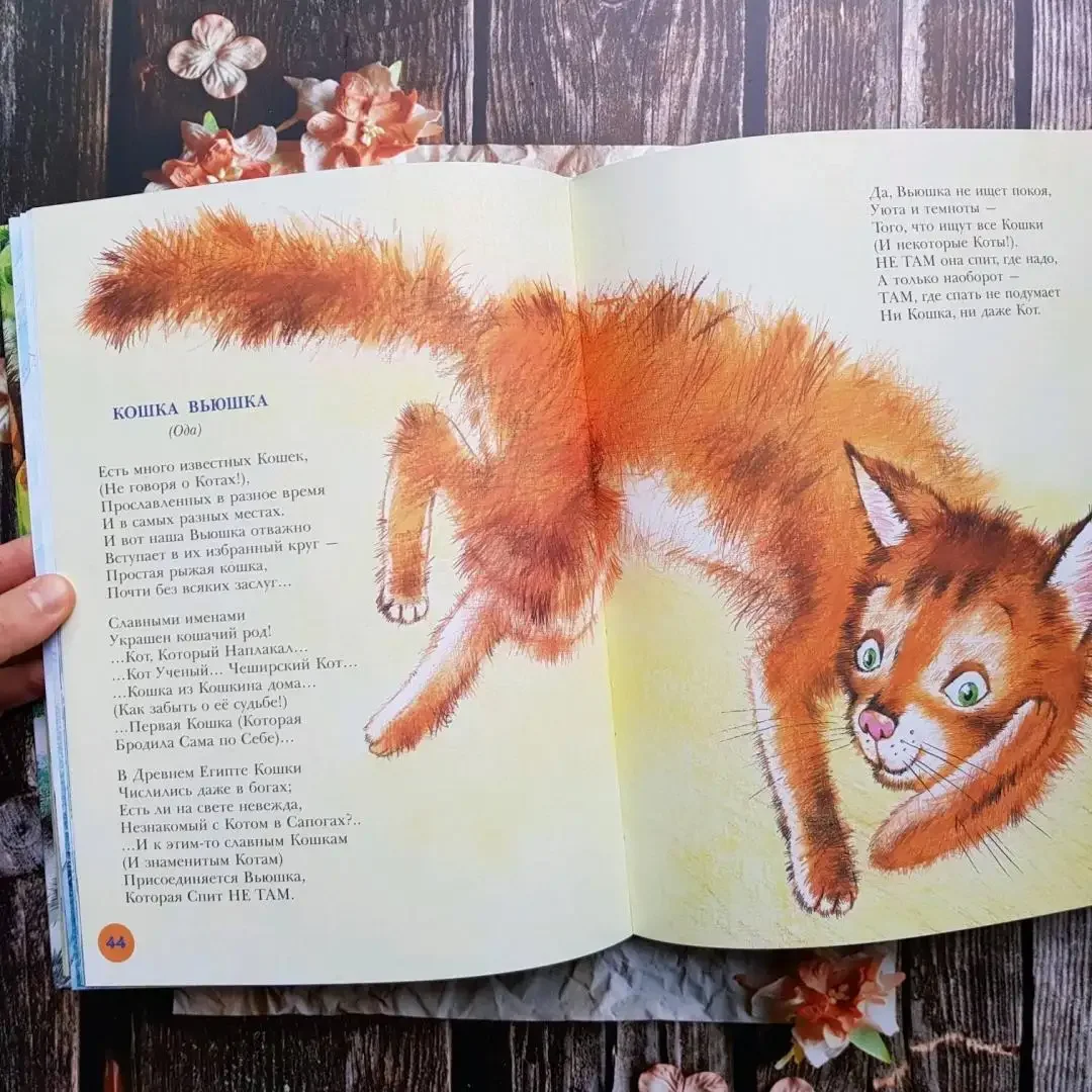 На Горизонтских островах Заходер